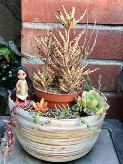 $16 Pocahontas inspired fairy garden