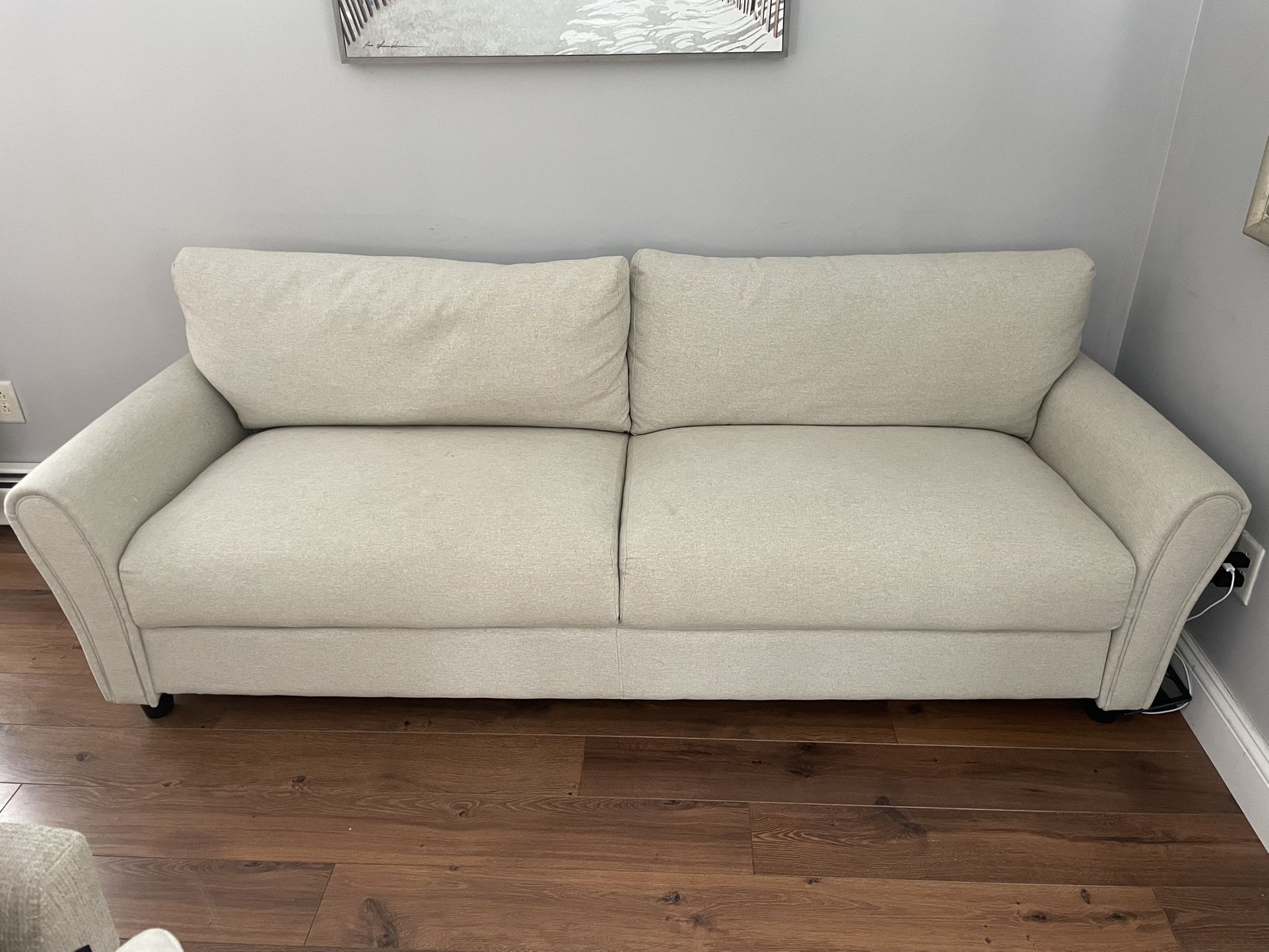 Light Tan Couch