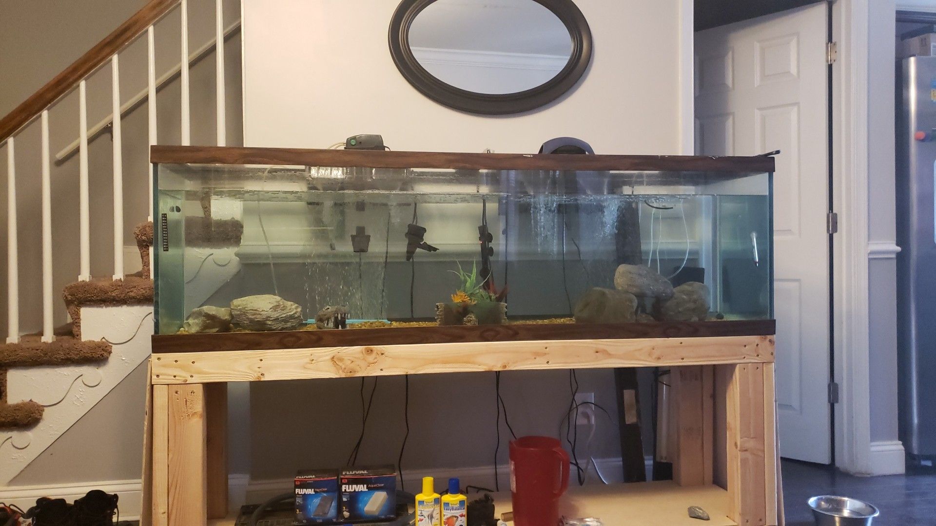 135 Gallon Fish Tank w/ handbuilt stand. L 72 1/8" W 18 3/8" H 22". And Black Piranha included