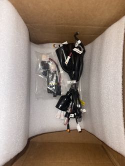 79 Bike Falcon M Harness 