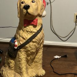 Christmas Light Up Dog