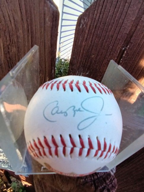 Cal Ripkin Jr Signed Baseball Special Ball