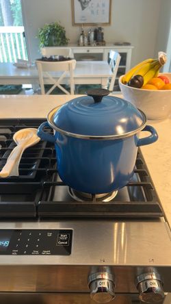 Le Creuset Enamel on Steel Stockpot with Lid