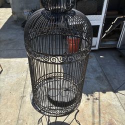Antique Bird Cage