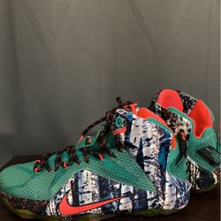 Nike Labron James 12 Akron Birch Very Clean 30$