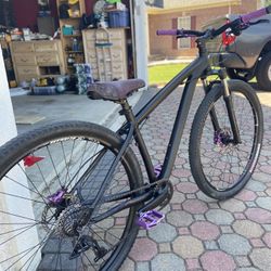 Specialized Rock Hopper (29er)
