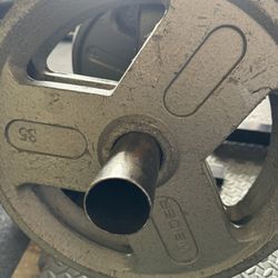 A Set Of 35 Pound Olympic Weights 
