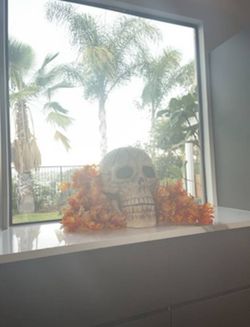Halloween Ceramic Large Skeleton Head Skull Makes Sound And Eyes Light Up