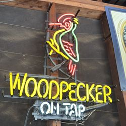 Neon woodpecker on tap