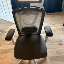 Autonomous Ergo Chair