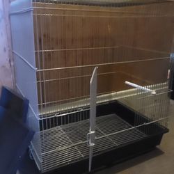 Bird Cage 