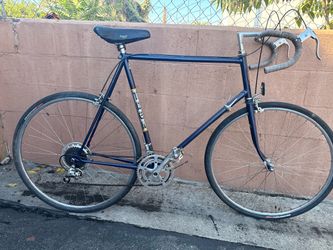 Trek Bike  1982