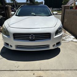 Nissan Maxima 2011 SV