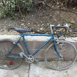 Adult And Teenager Bicycles