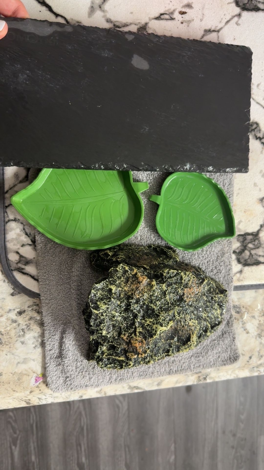 Tortoise/REPTILE ITEMS