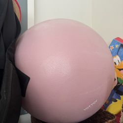 Exercise Ball (only Ball)