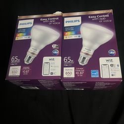 Phillips bulbs