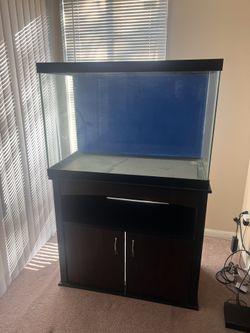 Fish Tank