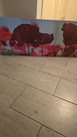 Large canvas picture poppys