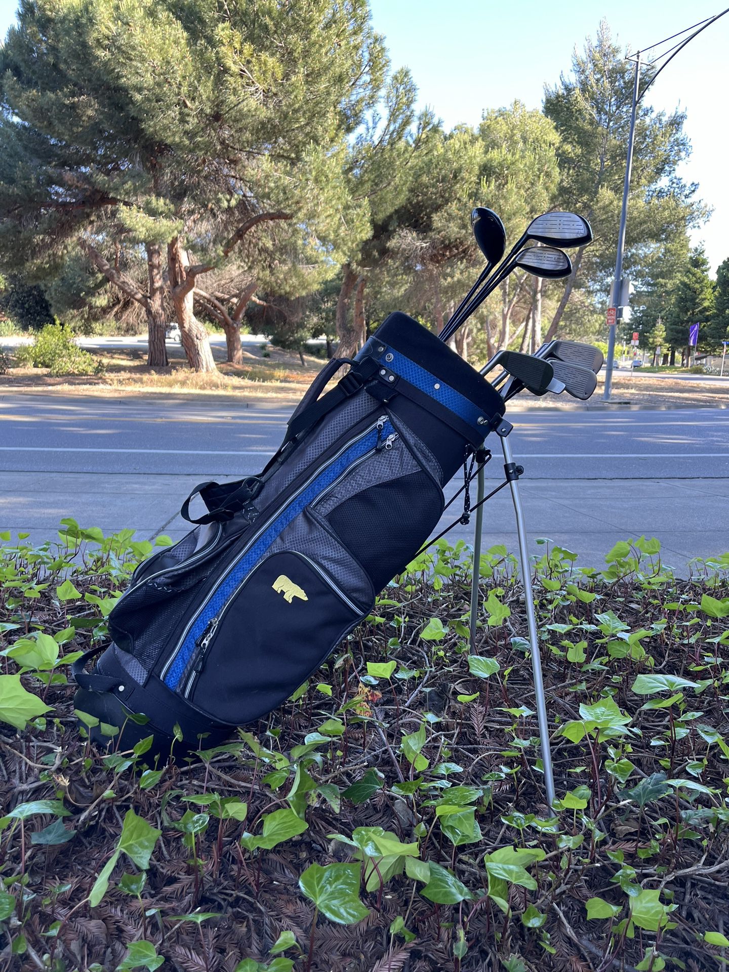 Golden Bear Golf Club Set With Golf Bag 
