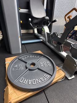 NEW Pair of 45 lb Olympic Weight Plates – 90 lb Total