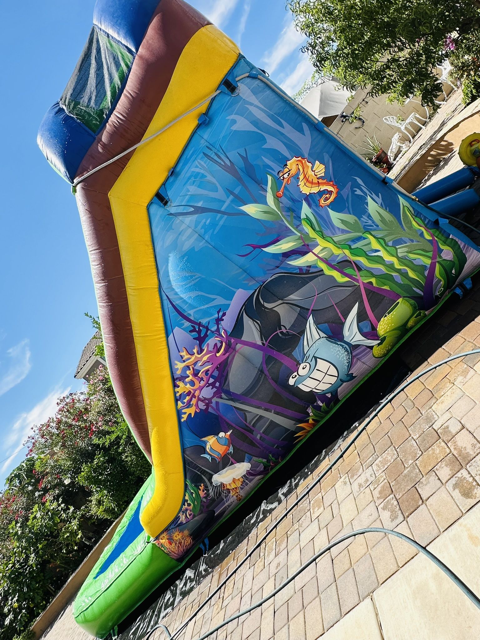 14ft Water Slide