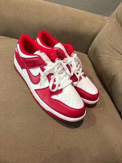 Nike dunks sz 12