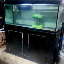 Fish Tank