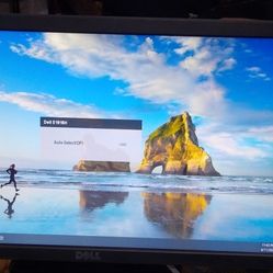 Dell 19" computer monitor E1916Hf