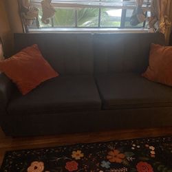 Pull Out Couch 