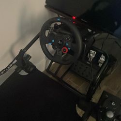 Next Level See With Logitech G29 Whith Shifter 