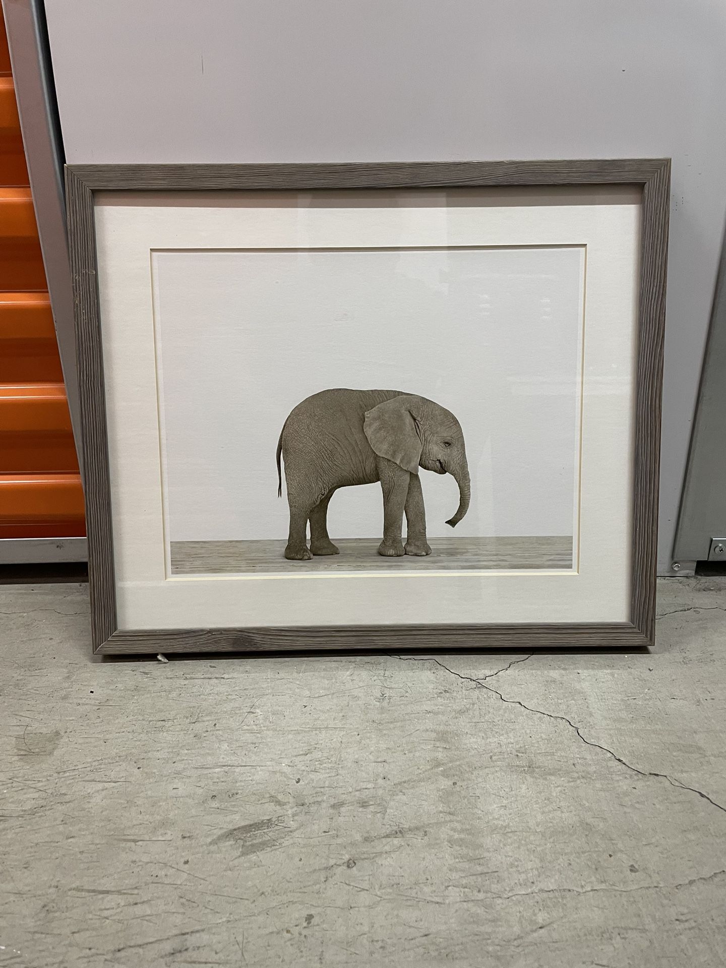 Elephant Picture