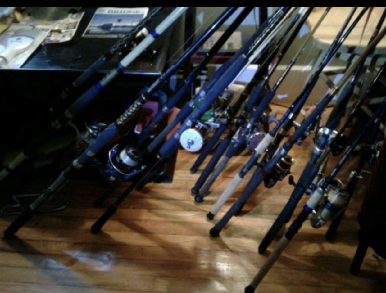 Fishing Gear. High End And Middle Of The Road