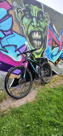 Trek Mountain Bike Black and Blue