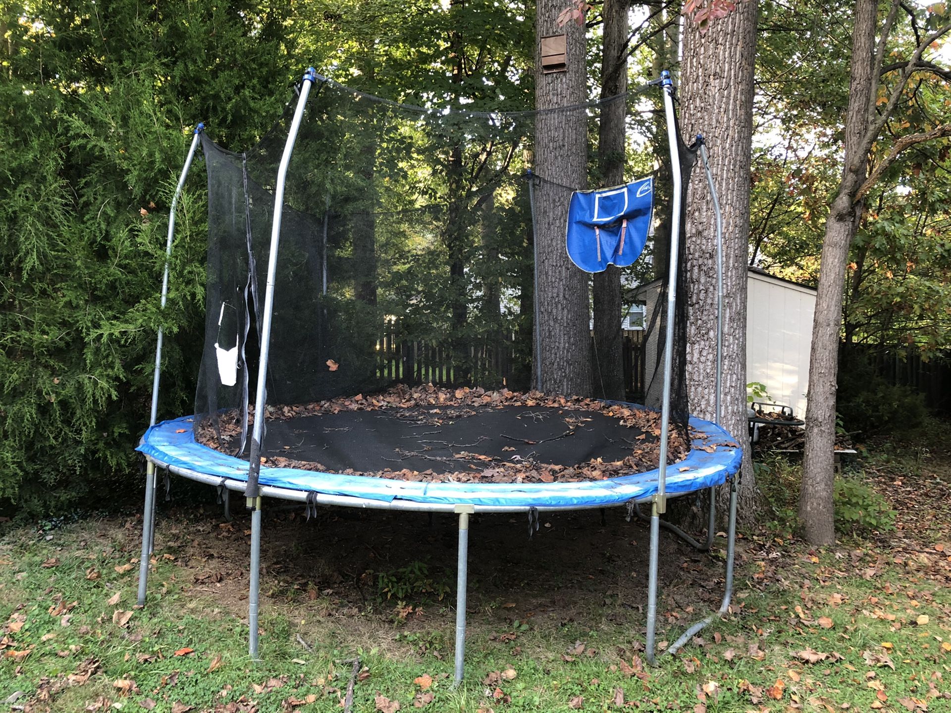 Trampoline