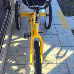 Sun Trike 3 Wheel Bicycle 