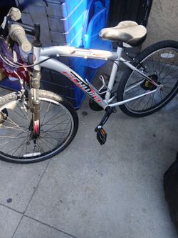 Schwinn bike