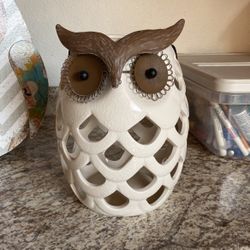 Owl Outdoor Decor 