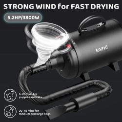 Dog Hair dryer