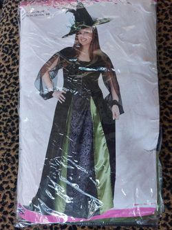 Plus Size Goth Witch 45.00