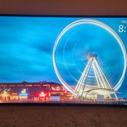 65" Samsung Commercial Display + Amazon Fire Stick (Smart TV Functionality)