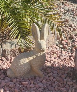 Garden rabbit