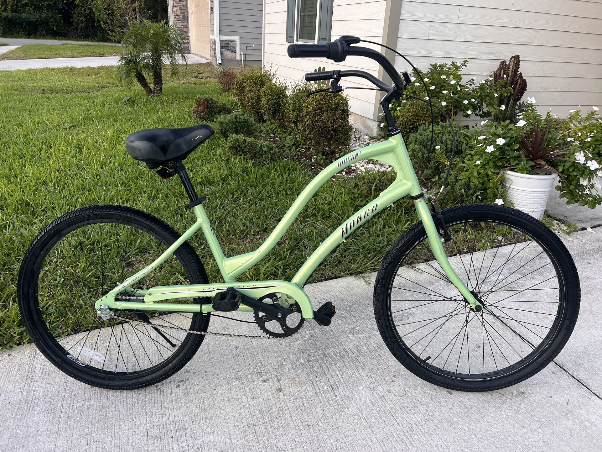 Bike Beach Cruiser Mango Toucan3