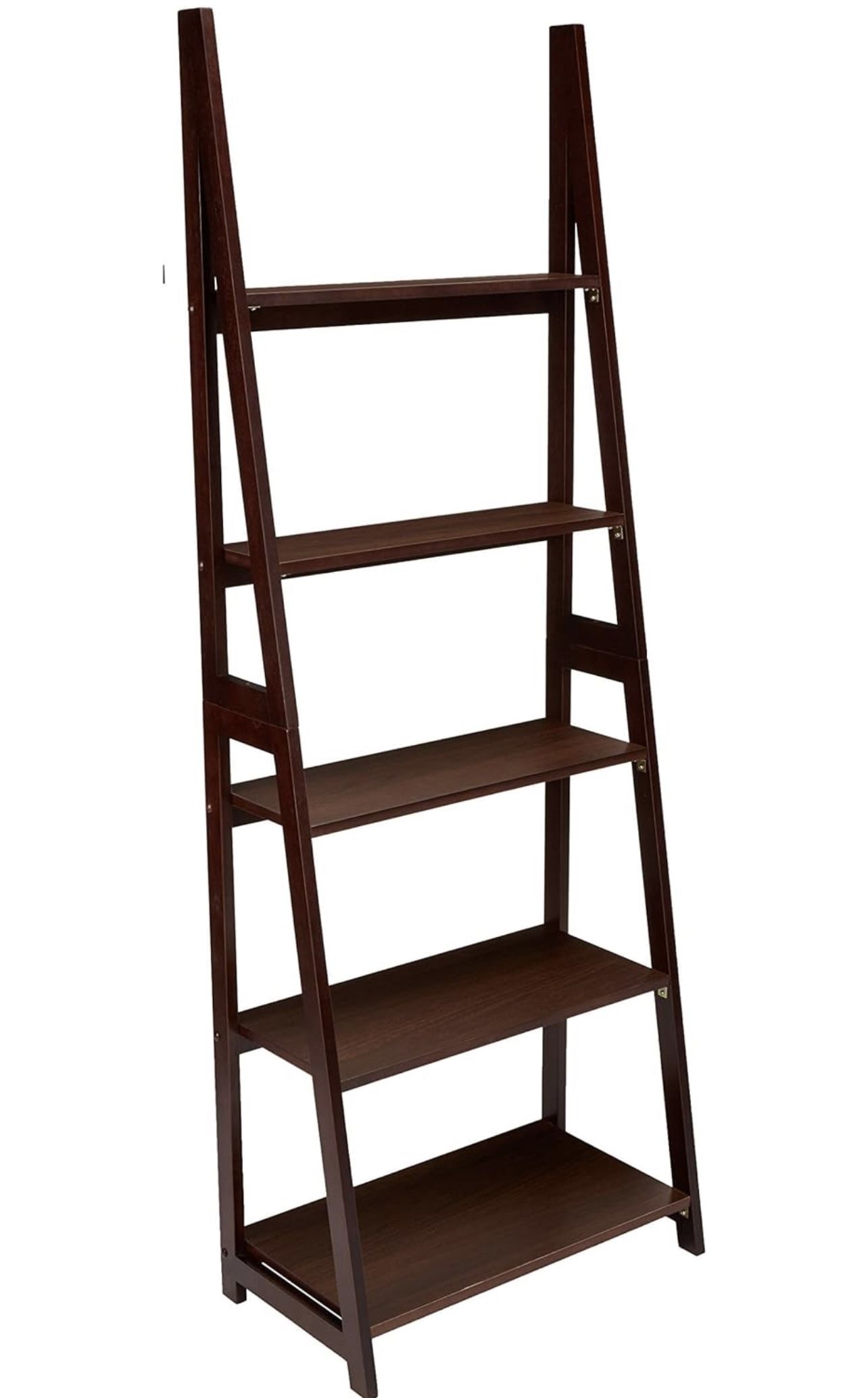 Amazon Basics Ladder Bookshelf Organizer