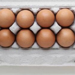 Eggs Cage Free Organic Home Grown Chickens