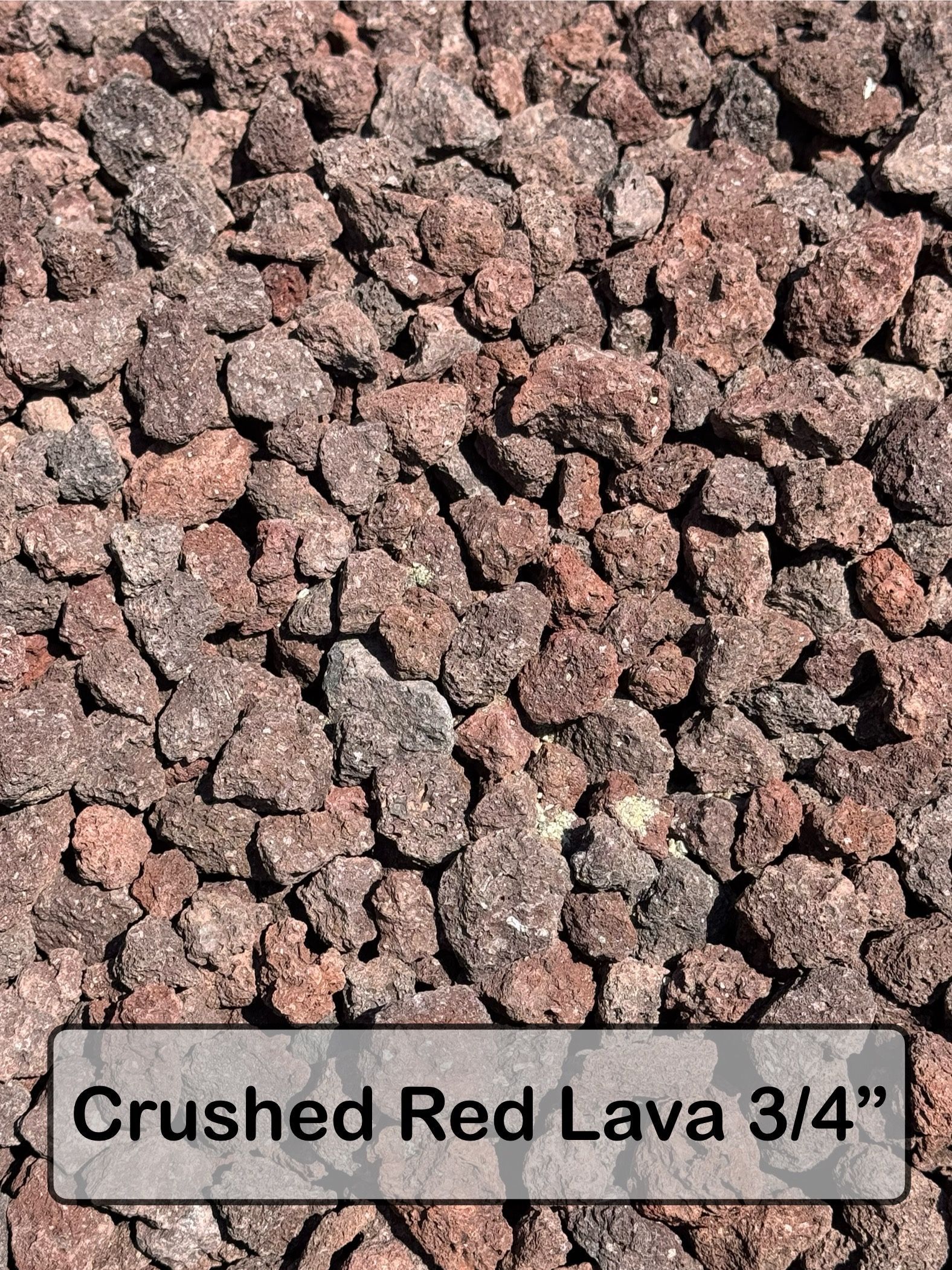 Decorative Rocks 3/4