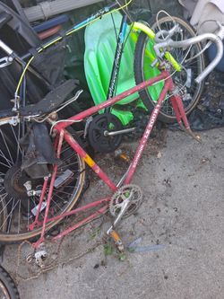 Bike vintage le tour