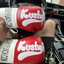 Kushy Punch Boxing Gloves