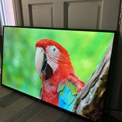 TCL 50" CLASS 4-SERIES 4K UHD HDR ROKU
