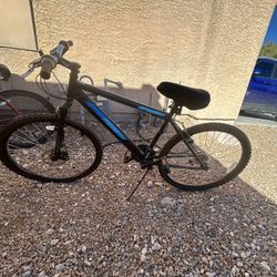 North Face Mountain Bike 30$
